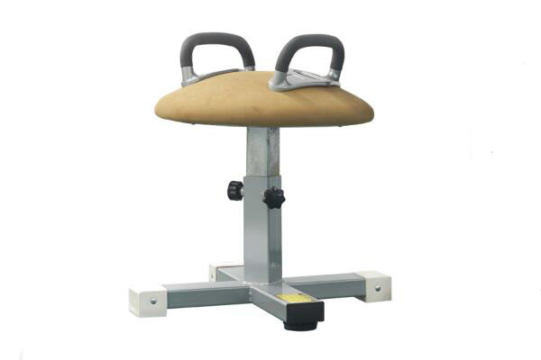 双环全旋训练器(图1)