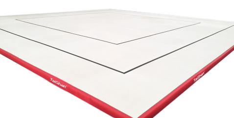 健美操场地(图1) 健美操场地(图1)