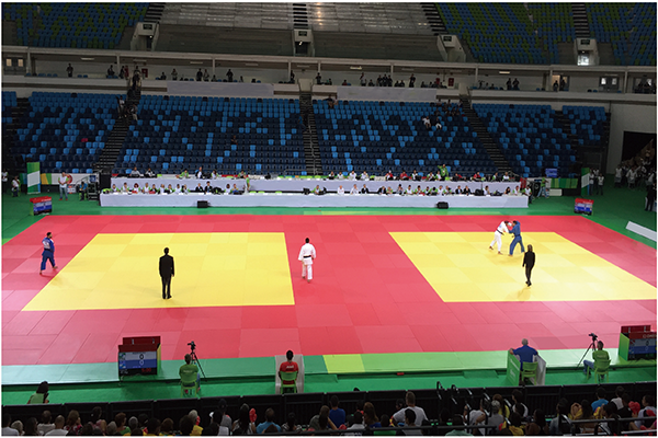 柔道场地(训练型) (图1) 柔道场地(训练型) (图1)