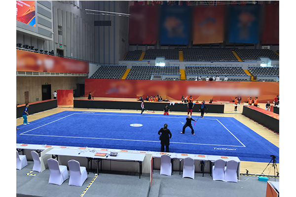 新型武术场地(图1)