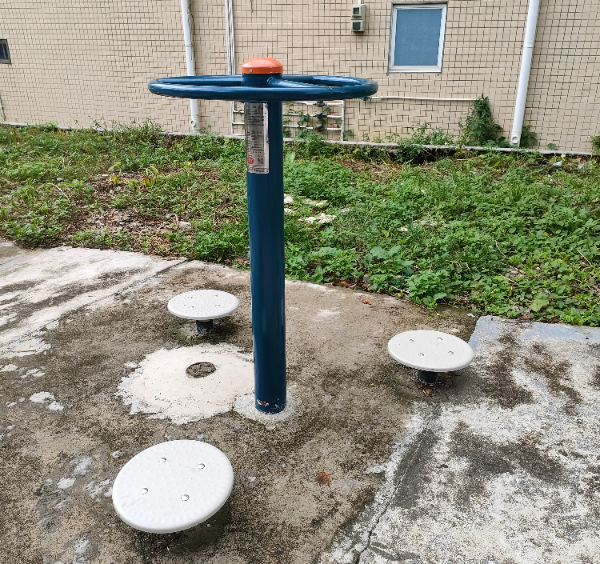 桂南村社贝(图1)