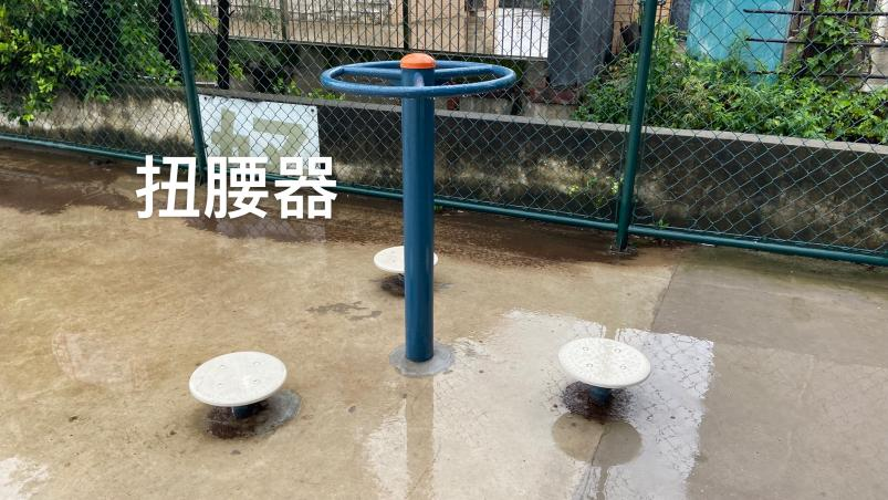 六沙村古树公园(图3)